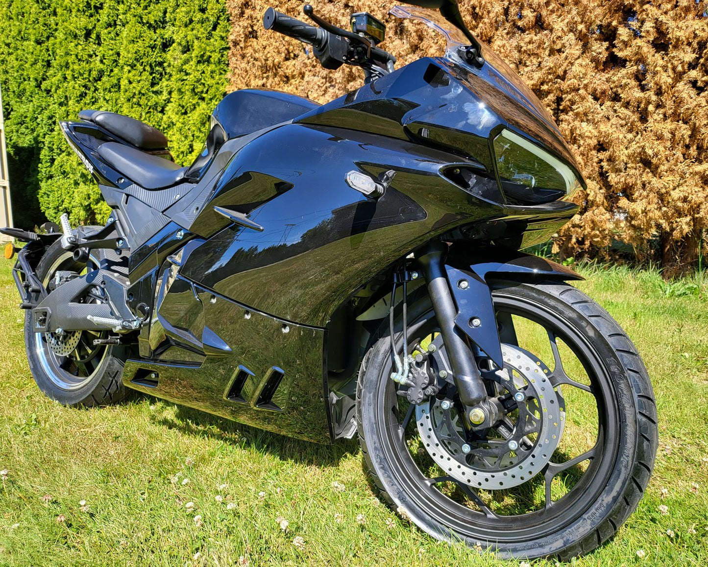 RAWATRON DEVIL MOTORCYCLE 72V 32AH SLA