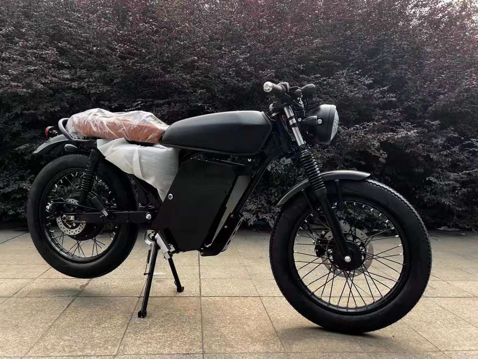 RAWATRON VINTAGE BEACH RIDER 72v 30ah LITHIUM