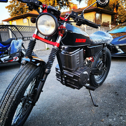 RAWATRON VINTAGE BEACH RIDER 72v 30ah LITHIUM